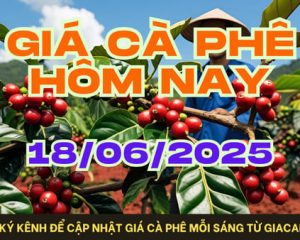 giá cà phê 18-06-2025