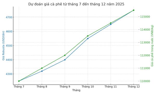 Dự báo giá cà phê 6 tháng cuối năm 2025