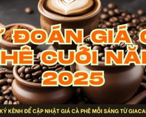 giá cà phê cuối năm