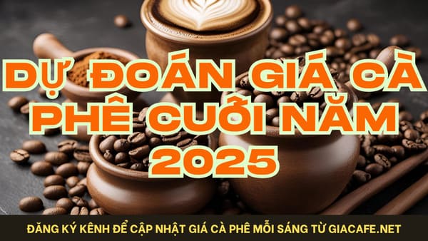 Dự báo giá cà phê 6 tháng cuối năm 2025