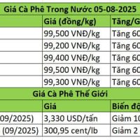 Giá Cà Phê Hôm Nay 05/08/2025 - Ổn Định Gần 100K
