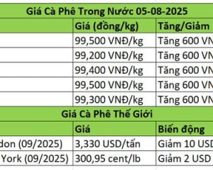 Giá Cà Phê Hôm Nay 05/08/2025 - Ổn Định Gần 100K